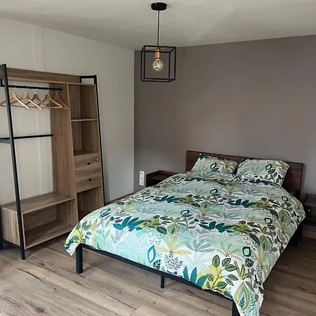 Au Coeur De Appartamento Buhl